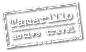 Tamarillo Active Travel Logo